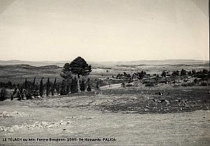 Palica - C- Le Telagh 019